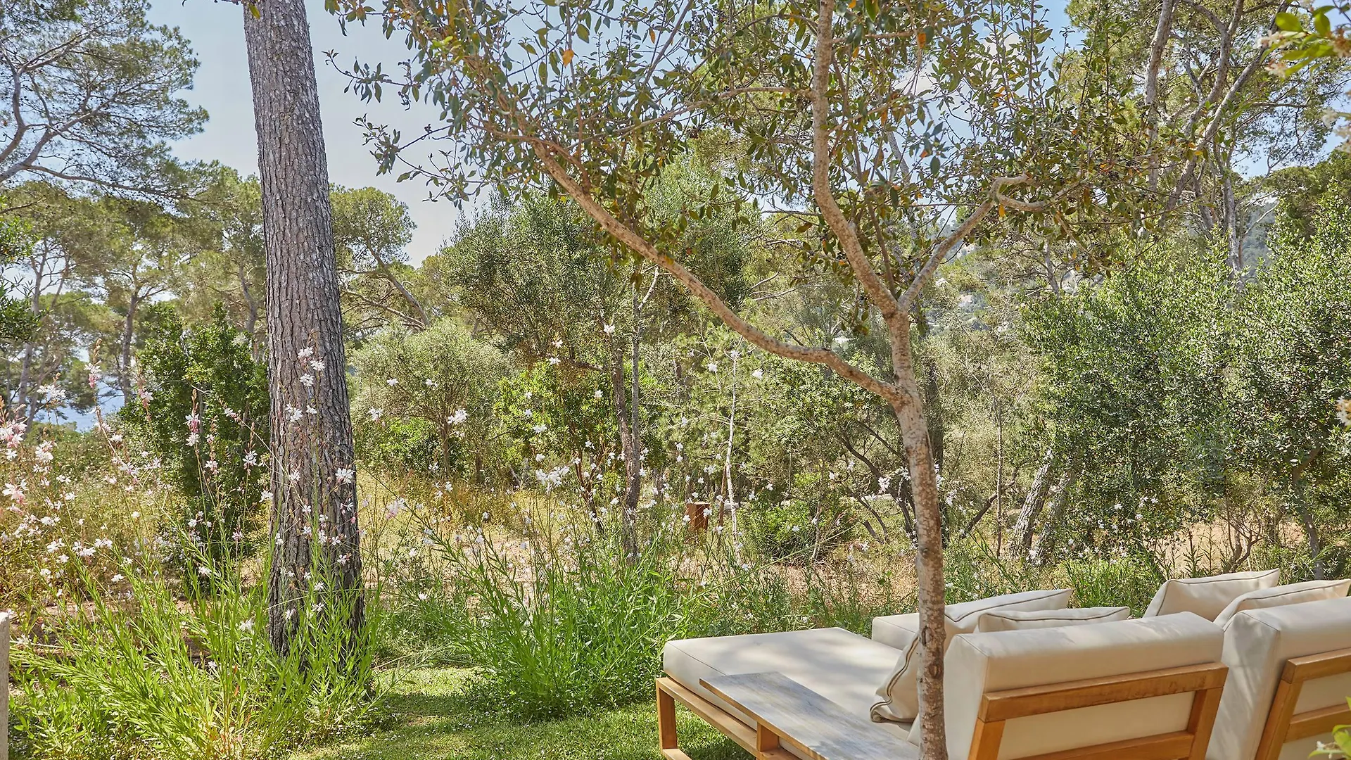 Pleta De Mar Grand Luxury Hotel By Nature - Adults Only Canyamel  Spanien